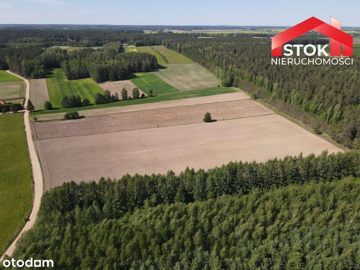 Działka z WZ 0,3 ha Puszcza Knyszyńska - Pełny obrazek: 5/5