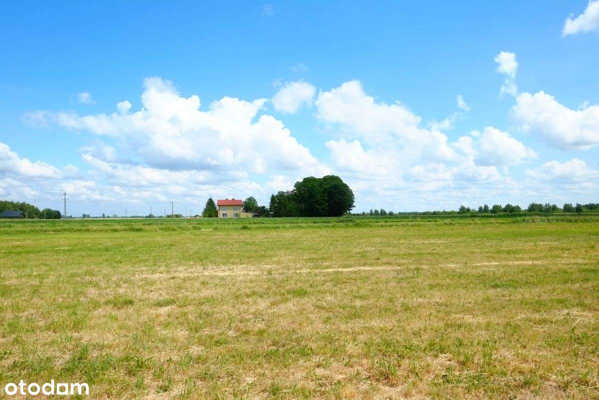 Kampinos: blisko do Kpn, ładna, media-2