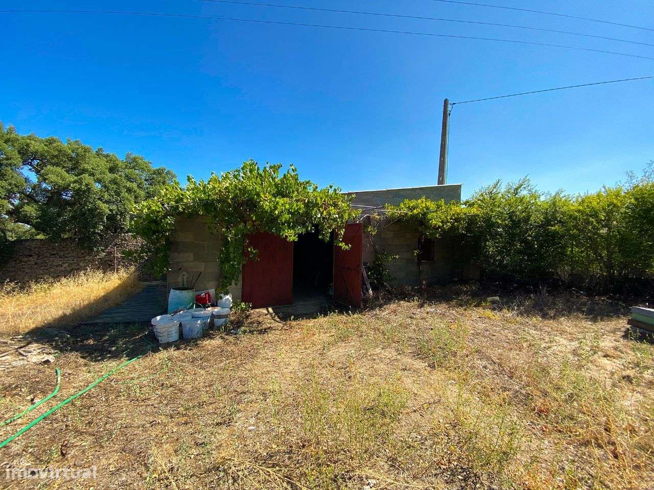 Quinta - Grande imagem: 3/15