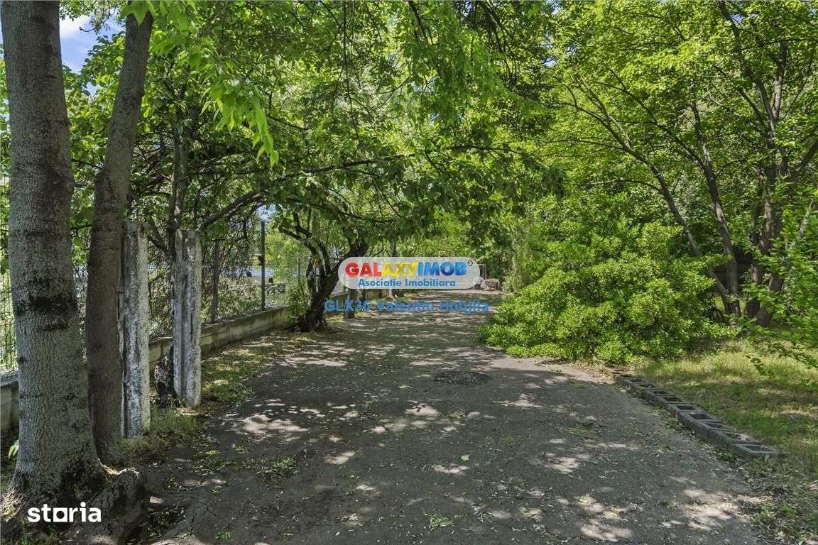 Vanzare vila Lacul TEI  PETRICANI INSULA  LAC 1900 MP TEREN - Imagine principală: 5/20