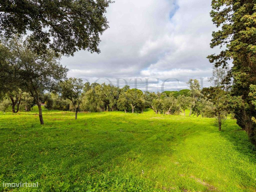 'Casa do Bosque': Terreno Urbano de 1 Hectare em Azeitão - Onde o L...-12