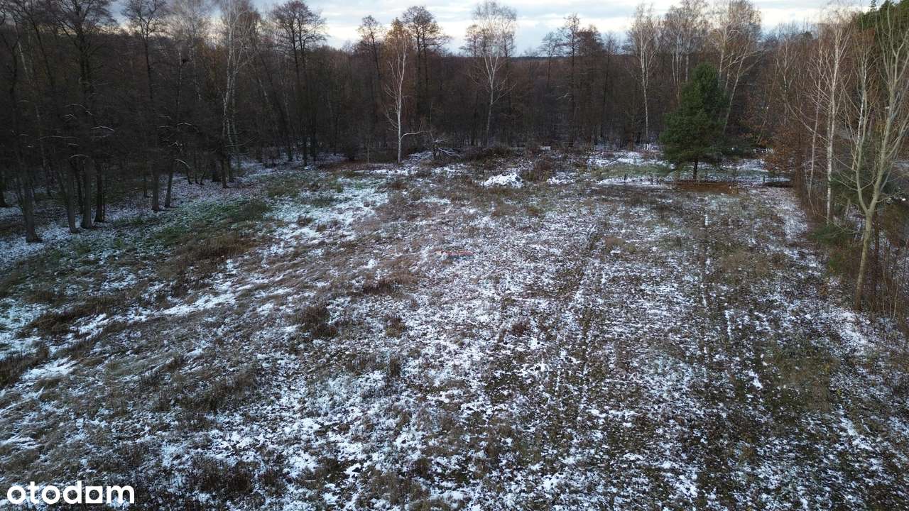 Działka, 6494.0 m², Ustanów-2