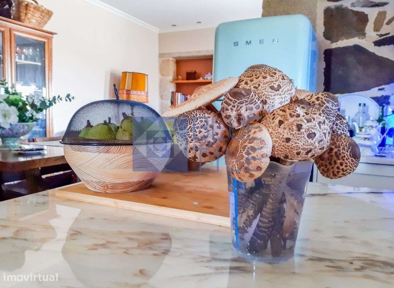 Quinta Excepcional em Gestaçô-24