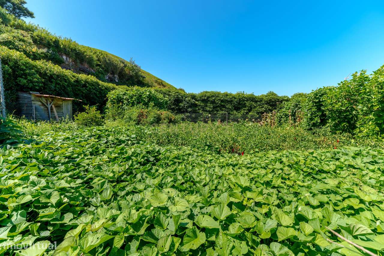 Moradia T4 com 2.971 m² de Terreno e Vista Panorâmica-53