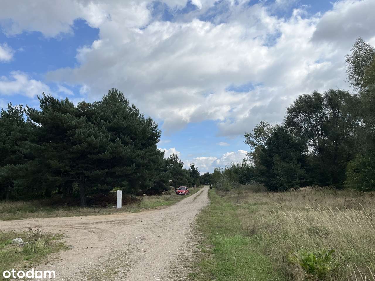 Działki budowlane w lesie blisko Wrześni Psary-1