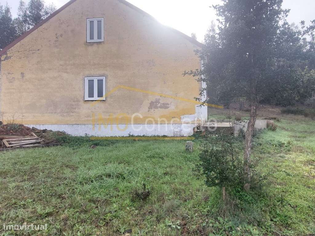 Moradia Térrea|| T3| Campo|| Natureza|| Pinhal - Grande imagem: 5/36