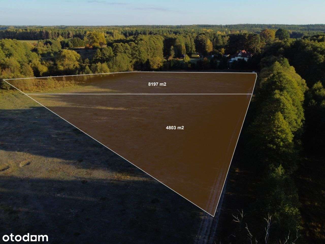 Działka 2,1 ha z linią brzegową, Sasek Mały - Pełny obrazek: 4/20