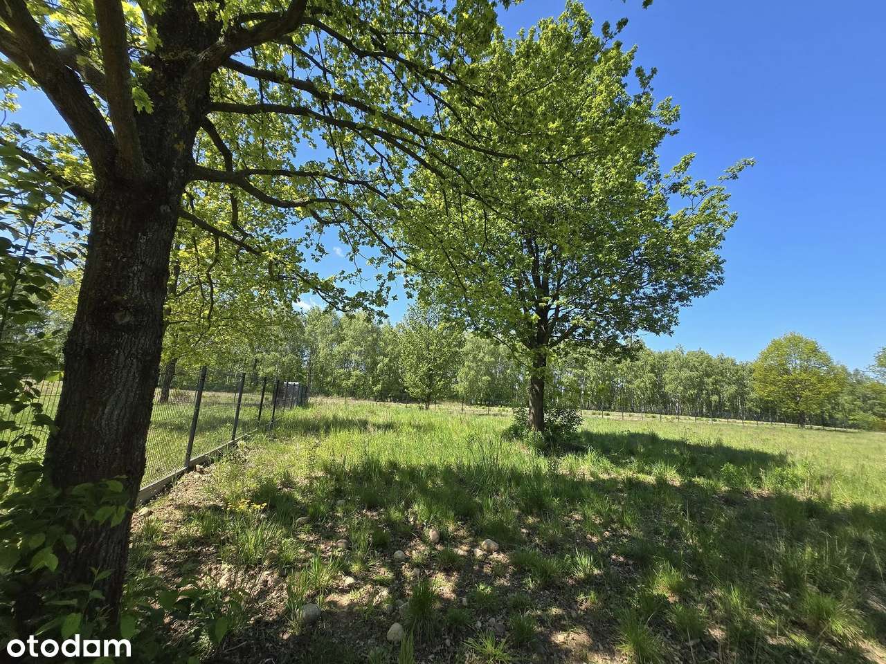 OKOLICE KALONKI, Działka Budowlana pod Rezydencje.  ENKLAWA ZIELENI - Pełny obrazek: 5/15