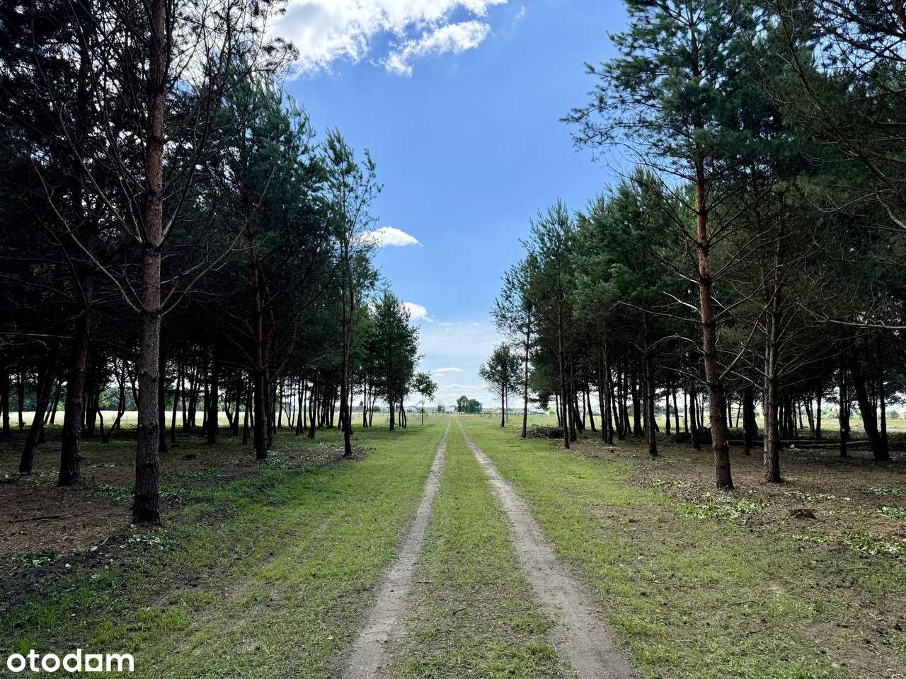 Działki budowlane, wodociąg, prąd, 1,5 km j. Lucieńskie-7