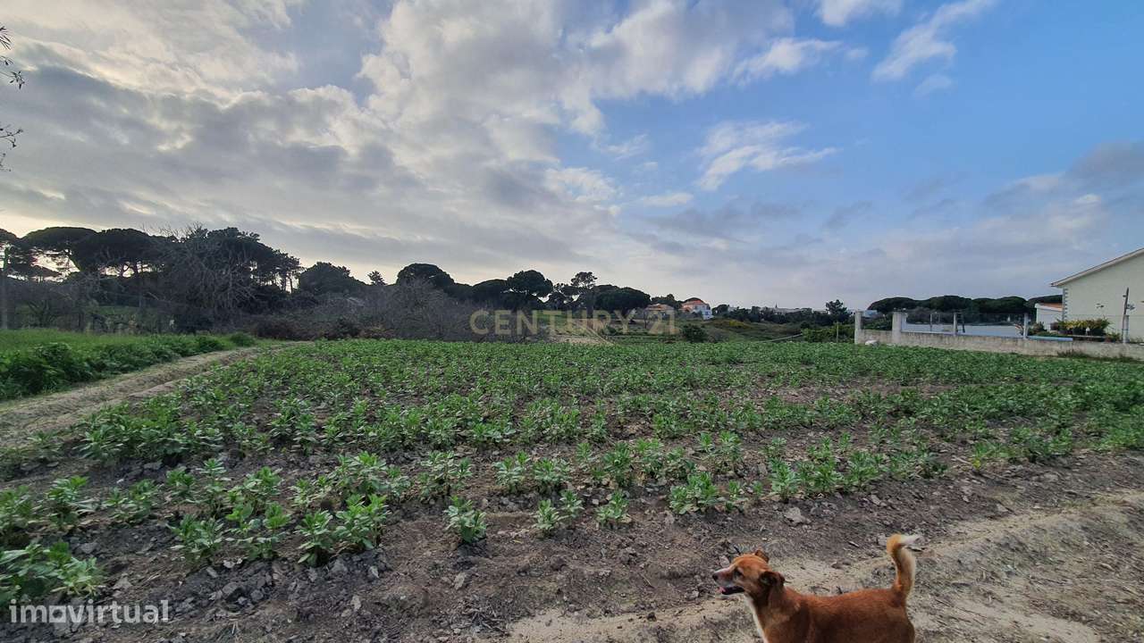 Terreno no meco para apoio agricola ou empreendimento turistico.-7
