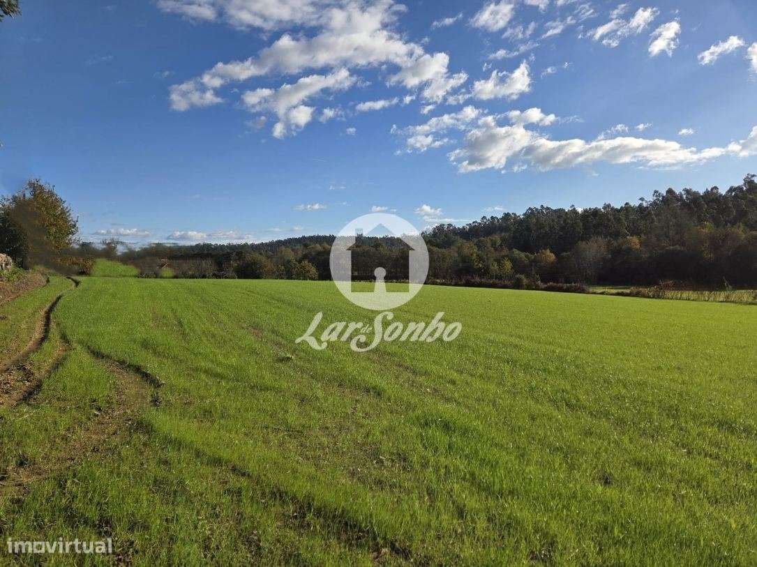 Quinta em Barcelos - Grande imagem: 2/29