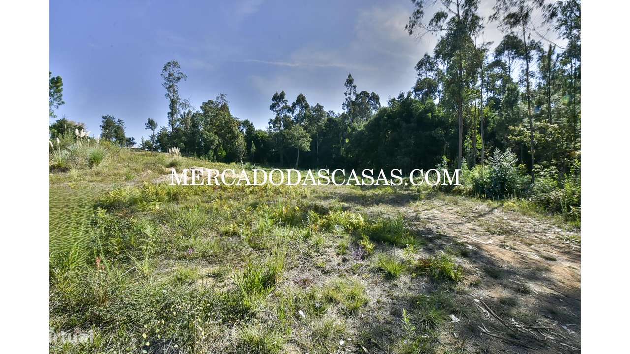 Terreno com viabilidade construtiva, Souto-3