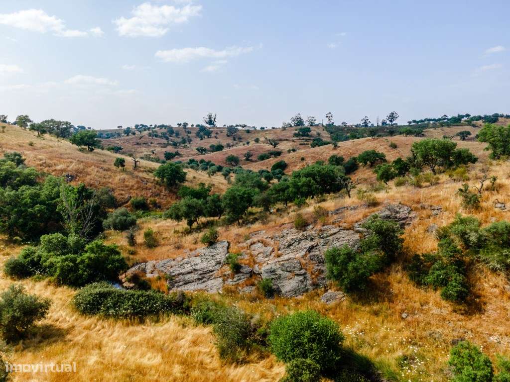 Herdade em Vila Nova de São Bento | 172 hectares-11