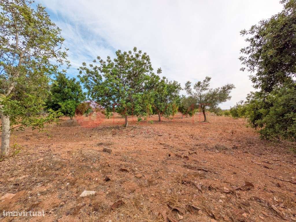 Moradia Rústica T6 com 5 Hectares em Tunes, Silves-50