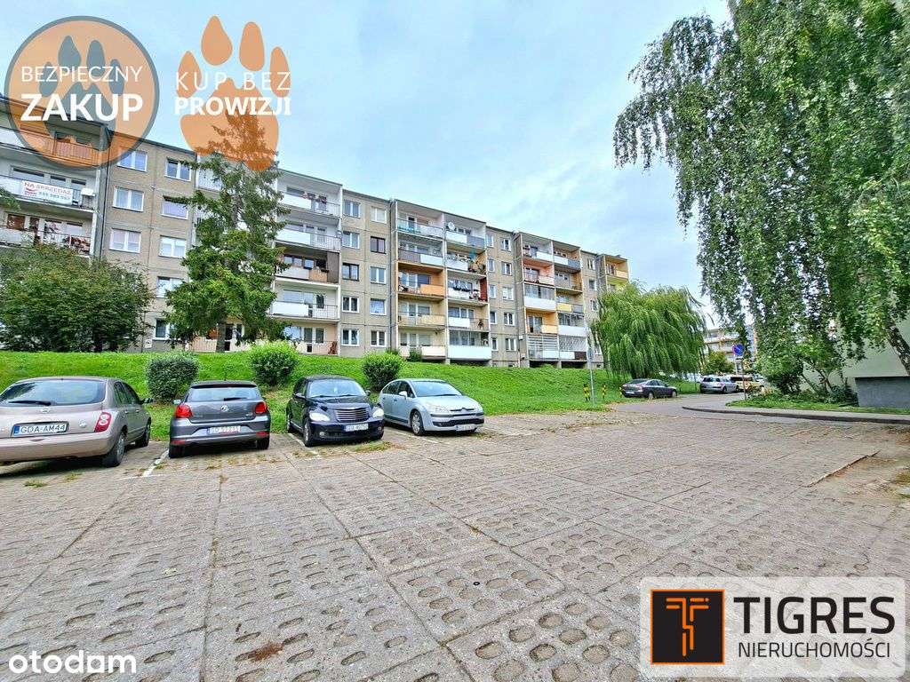 Ścisłe centrum / Balkon / Idealne na start-9