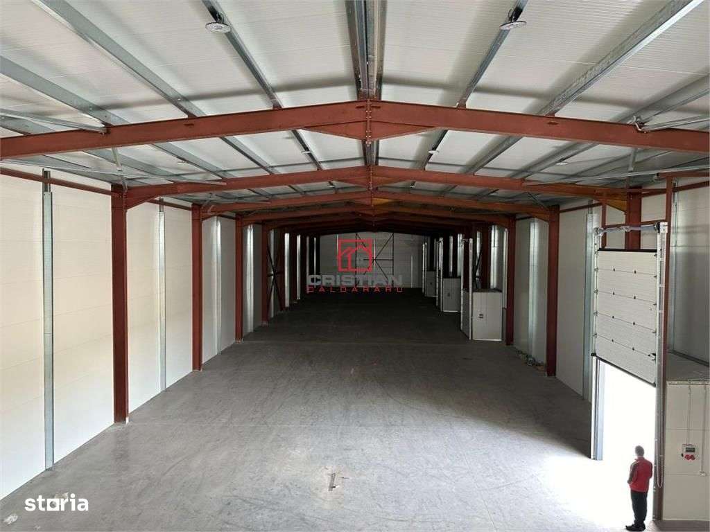 Vanzare depozithalaspatiu industrial Theodor Pallady - Drumul Intre Ta - Imagine principală: 4/10