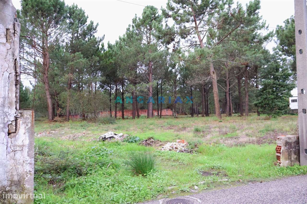 ANG1505 - Terreno para Venda em Marinha Grande - Grande imagem: 5/13