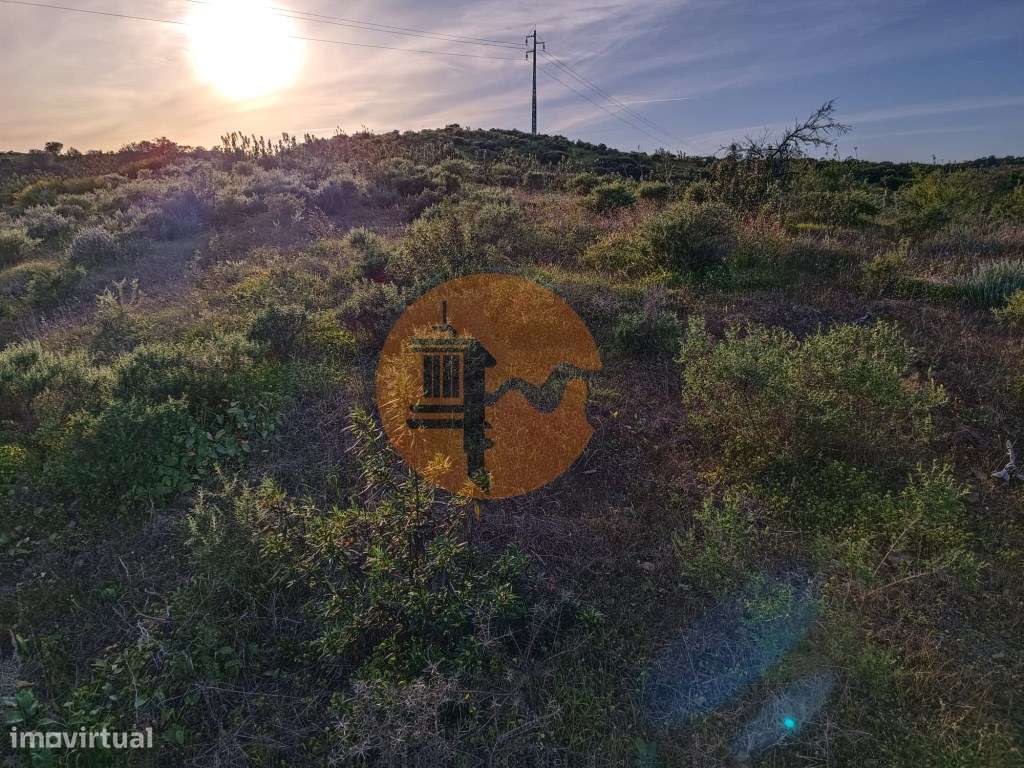 TERRENO MISTO COM 9.160 M2 - COM URBANO - ARMAZEM / GARAGEM - JUNQU... - Grande imagem: 4/45