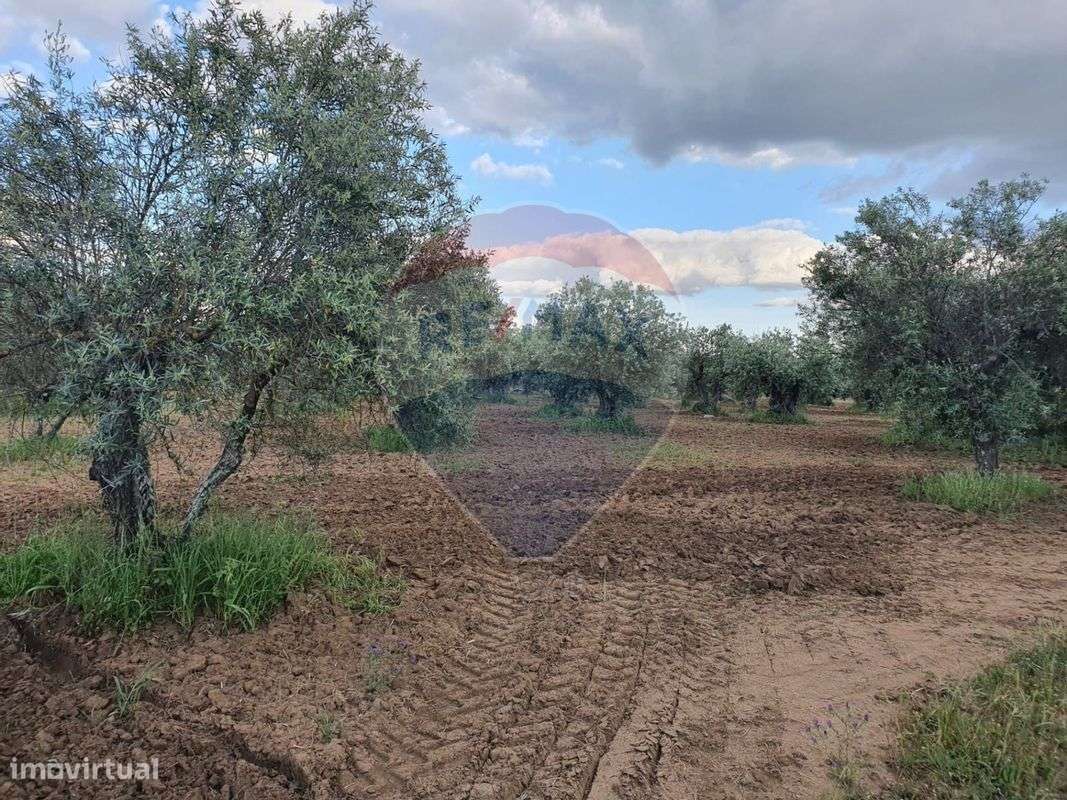 Terreno  para venda - Grande imagem: 4/8