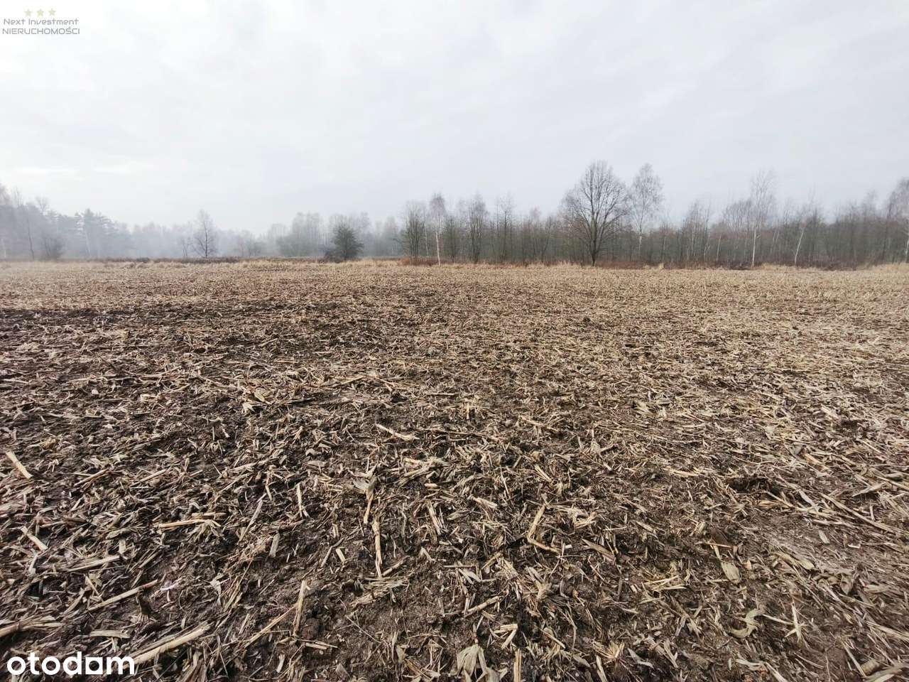 Dwie działki w kolejnej linii zabudowy Dzierżno-6