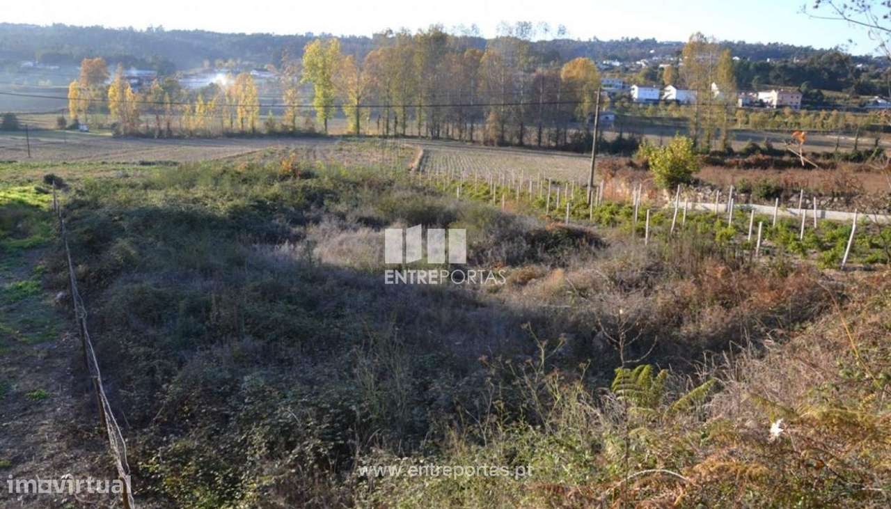 Venda Terreno, Travanca, Amarante - Grande imagem: 5/9