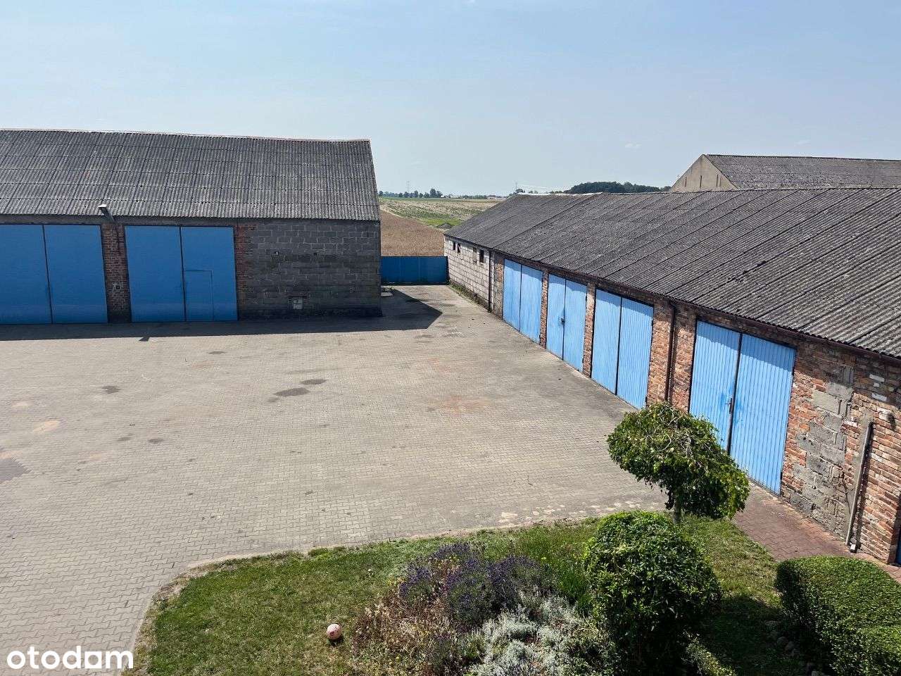 Dom na działce 3710m2 Mrowino 15 minut od Poznania-17