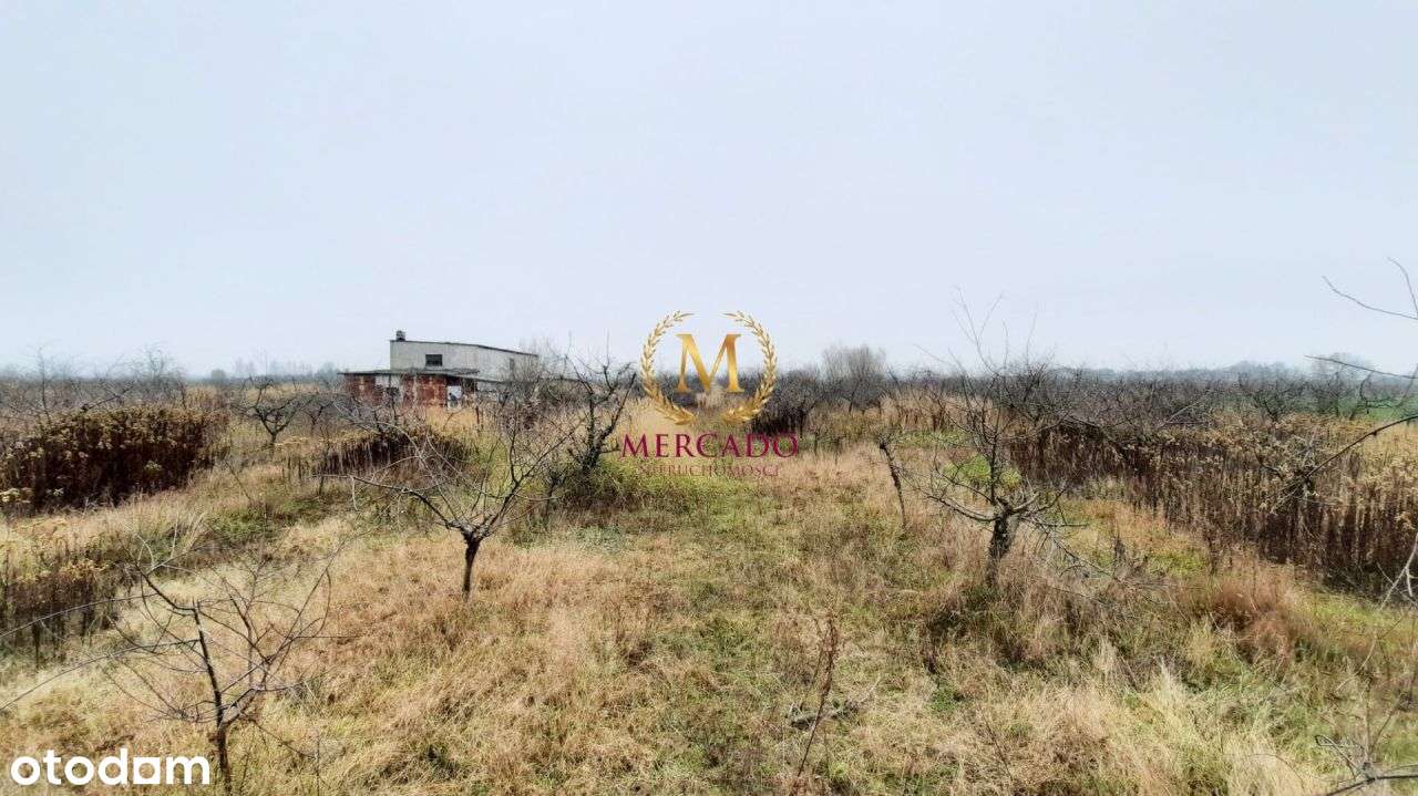 Działka inwestycyjna ponad 4 ha przy jeziorze - Pełny obrazek: 5/7