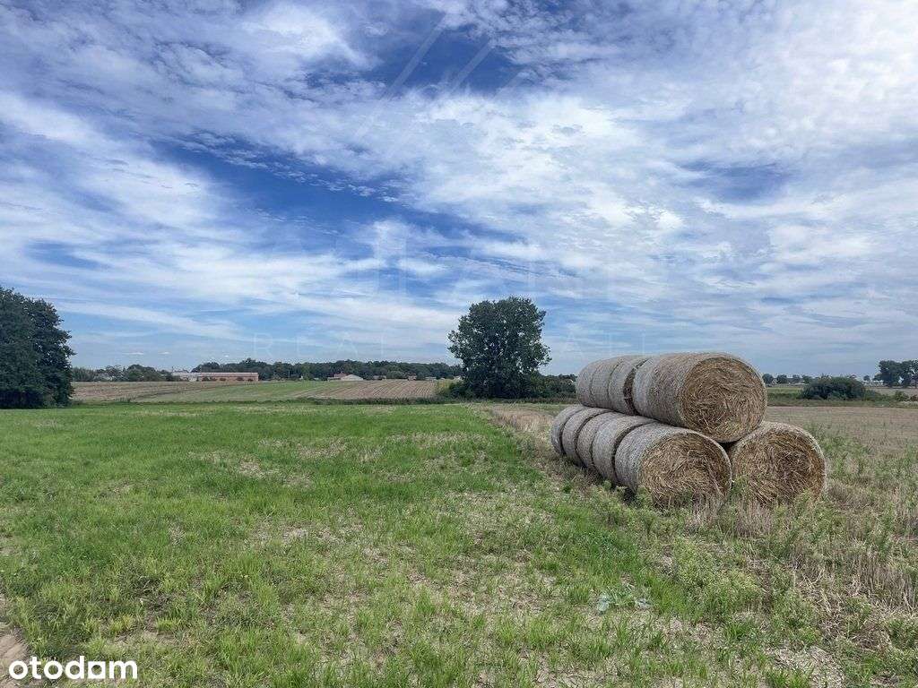 Atrakcyjna działka z Mpzp w malowniczej okolicy! - Pełny obrazek: 5/12
