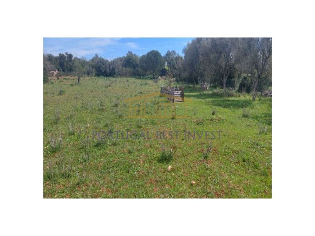 Terreno agrícola na Guia, Albufeira - Grande imagem: 5/15