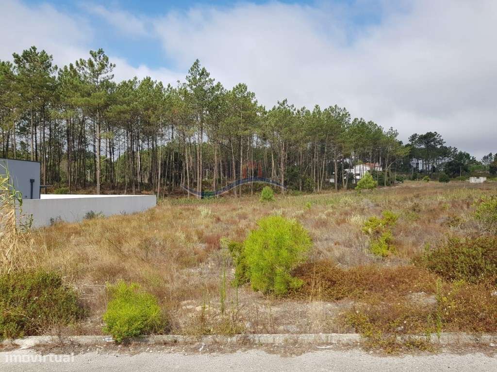 Lote de Terreno - Amor - Grande imagem: 2/13