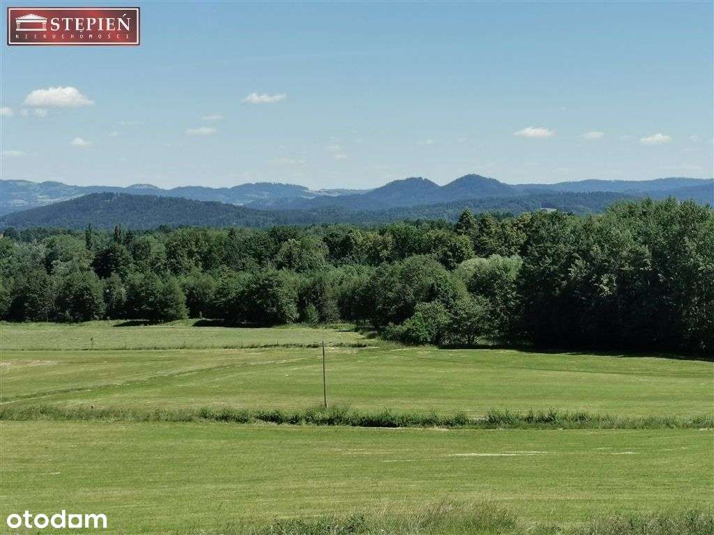 Duża, widokowa działka z lasem w Miłkowie - Pełny obrazek: 5/16