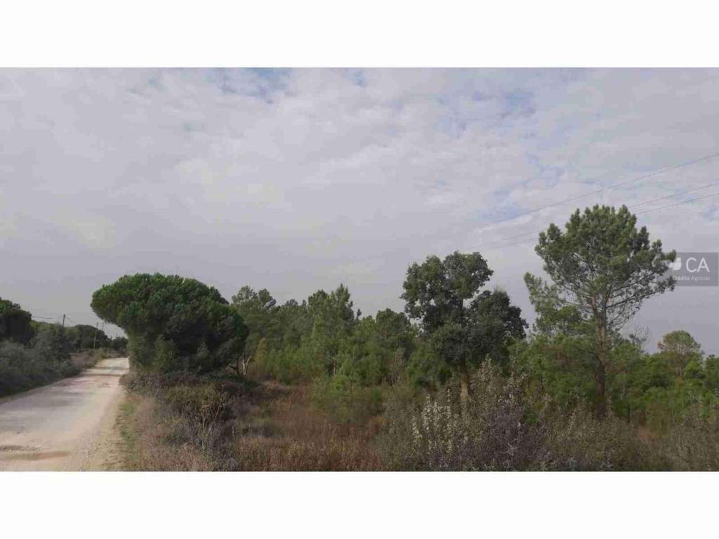 Herdade Rio Frio - Olho Cinzeiro - Grande imagem: 1/4