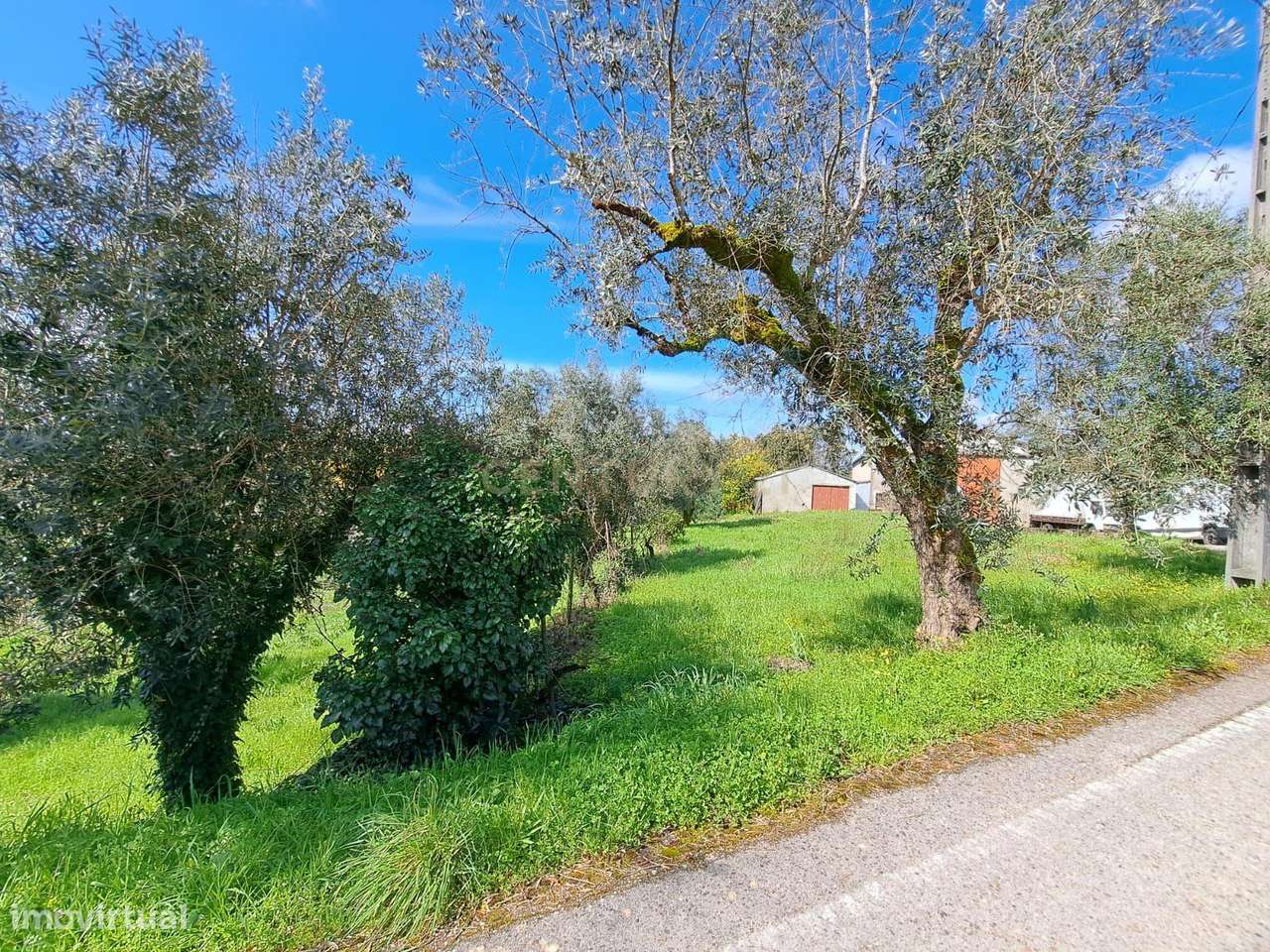 Terreno em Arrifana, Vila Nova de Poiares - Grande imagem: 4/6