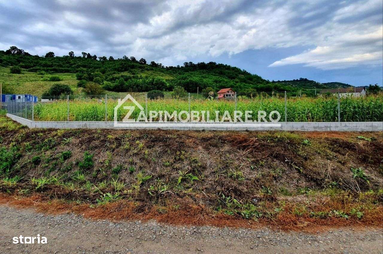 Teren intravilan 25 ari la iesire din Livezeni spre Ivanesti 48 eu /mp - Imagine principală: 3/4