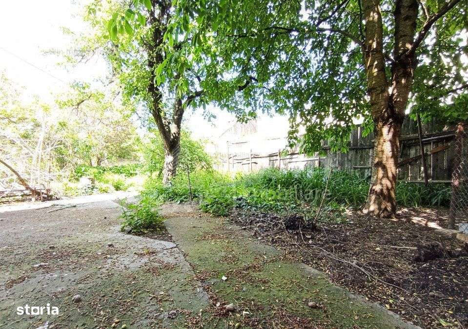 Teren de vanzare ,435 mp, zona BT Arena - Imagine principală: 4/4