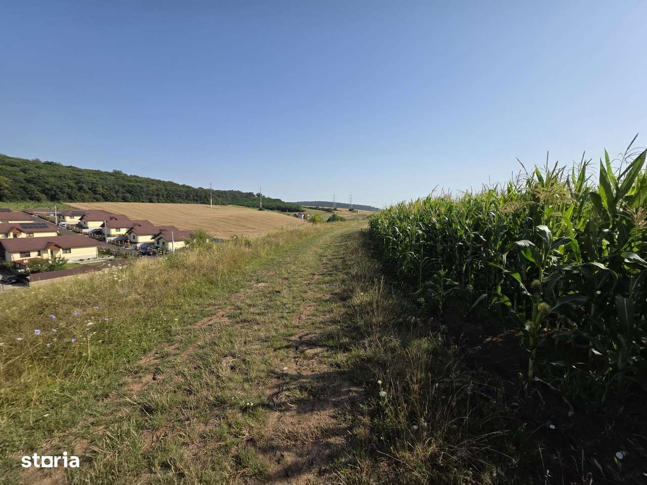 Teren in Sancraiul de Mures, 5800 mp, utilitati la 50 m, padure - Imagine principală: 4/6