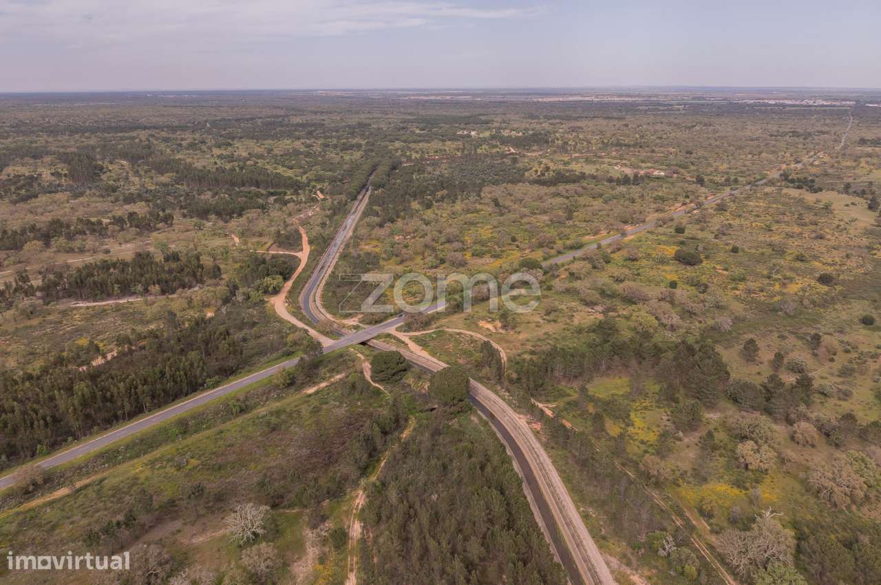 Herdade em Alvalade - Santiago do Cacém - Grande imagem: 3/22