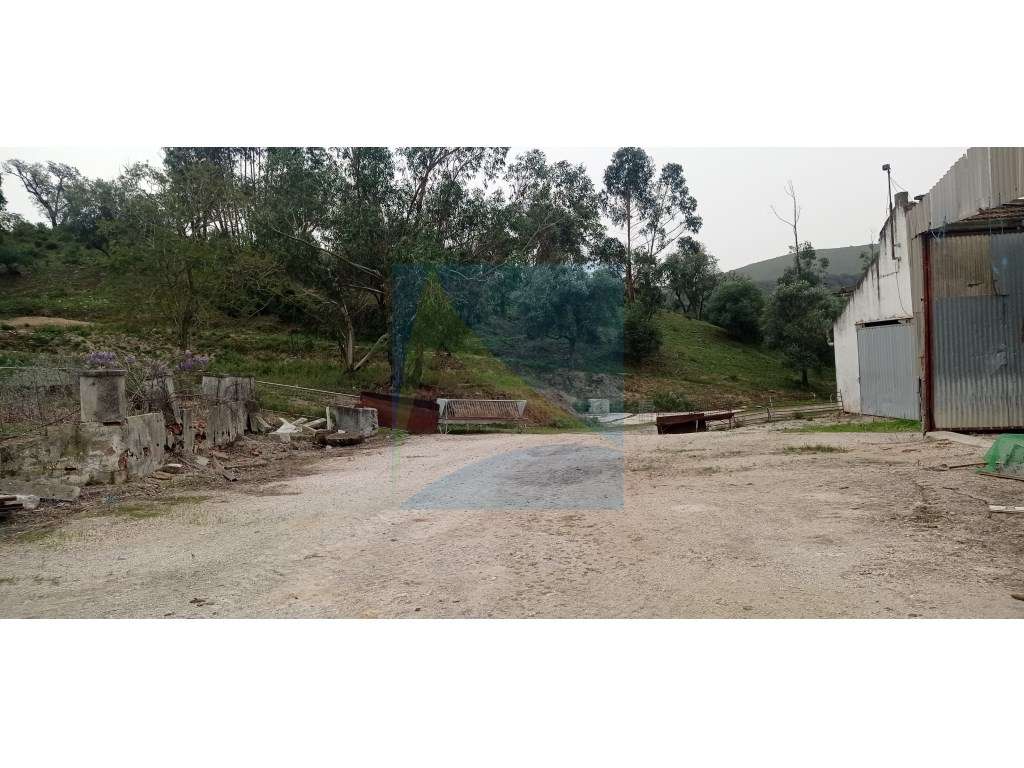 Herdade em Plena Serra da Arrábida 340.000 m2-9