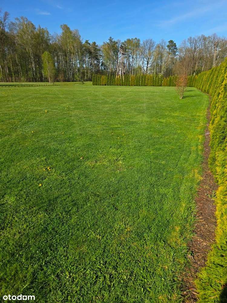słoneczna działka bez smogu obok lasu-7