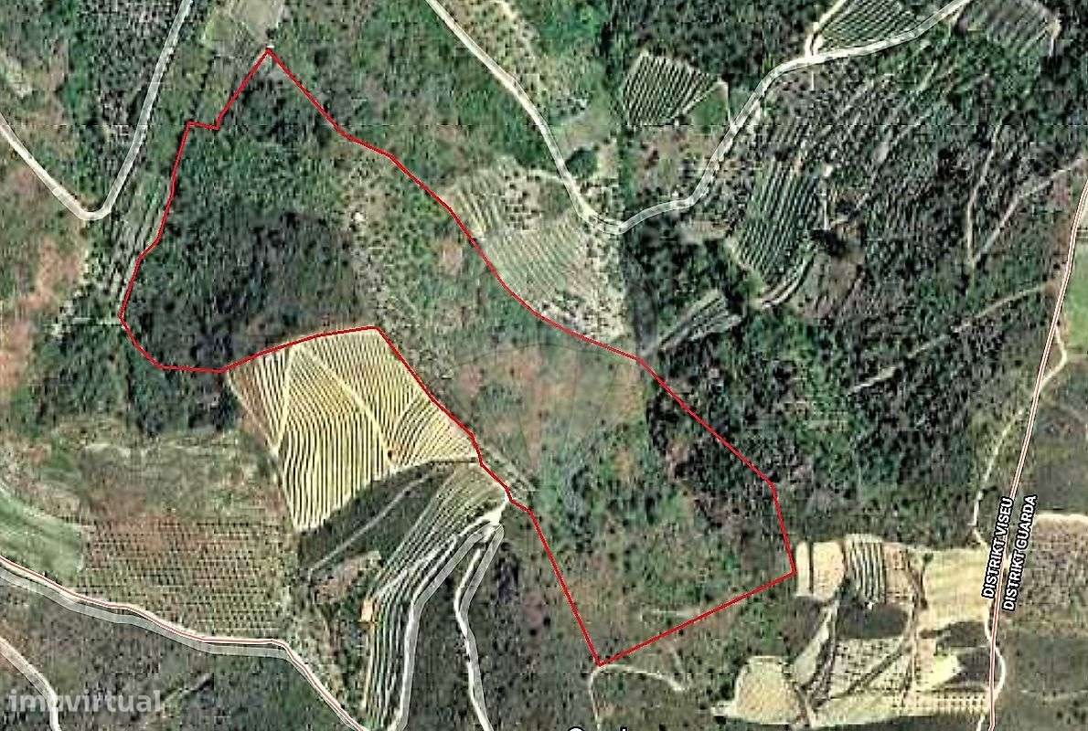 Quinta  para venda - Grande imagem: 4/13