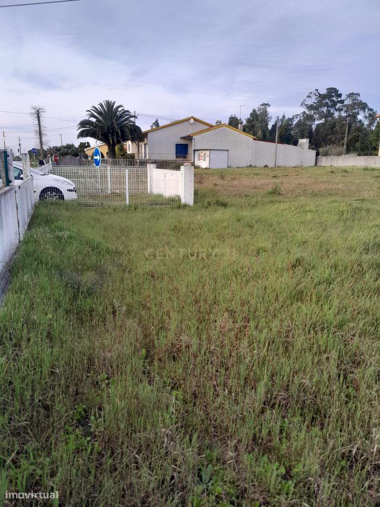 Terreno Rústico em Coimbra - Oportunidade Única! - Grande imagem: 5/8