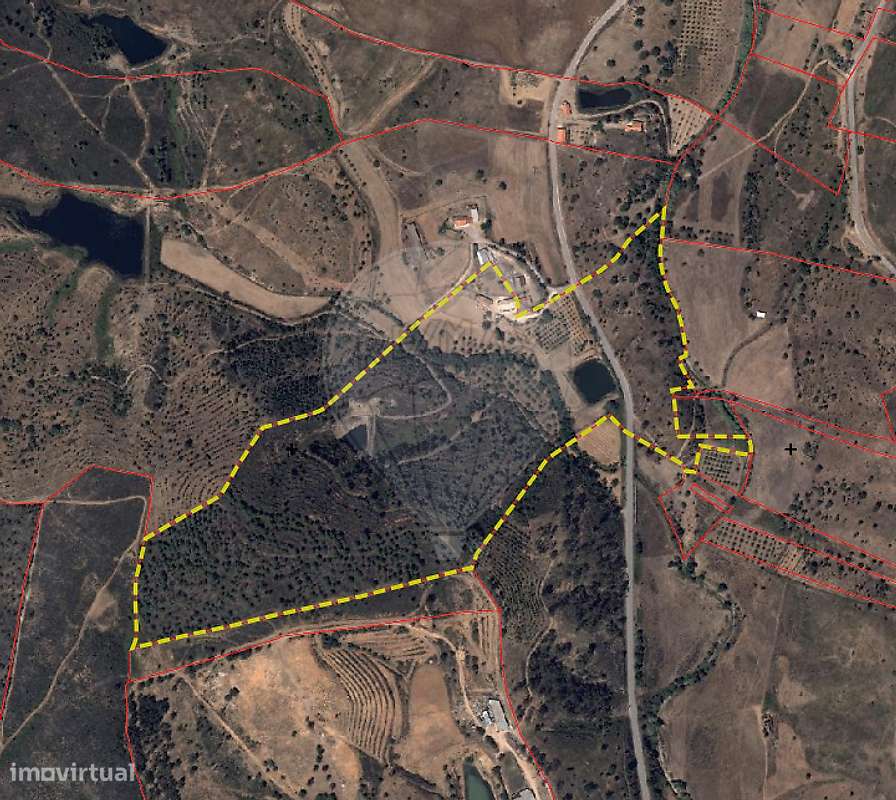 Quinta T4 para venda-16