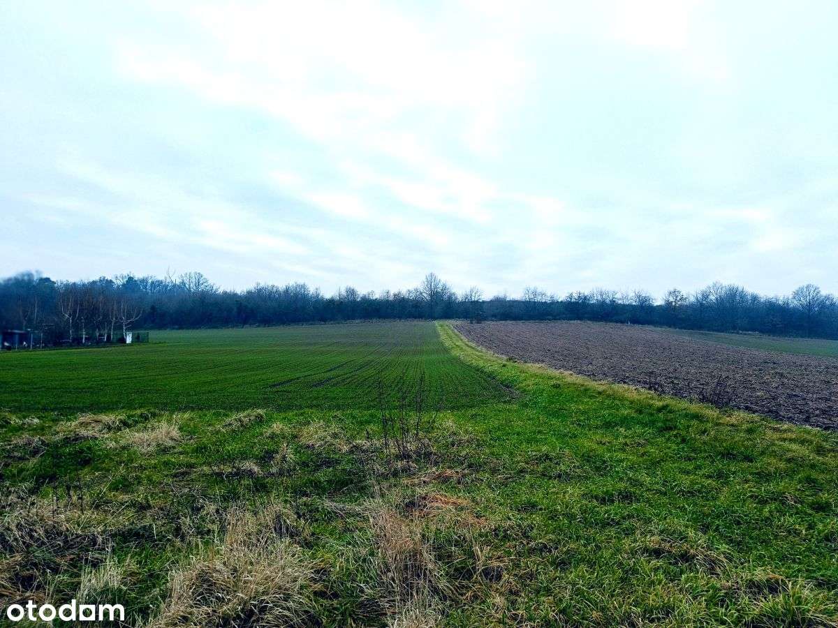 Działka 20 arów 4 km od centrum Sobótki!!! - Pełny obrazek: 3/14