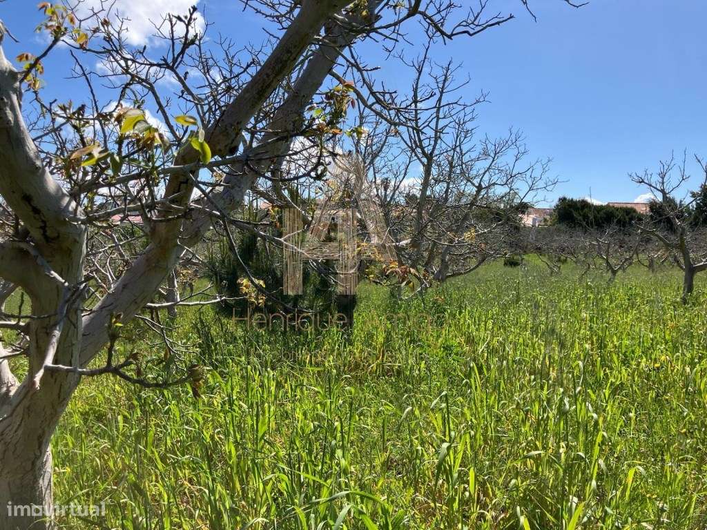 Propriedade Industrial / Produção e Habitação Própria - Grande imagem: 5/11