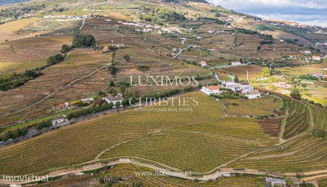 Quinta vinícola à venda em Mesão Frio na Região Demarcada, Douro V - Grande imagem: 5/25