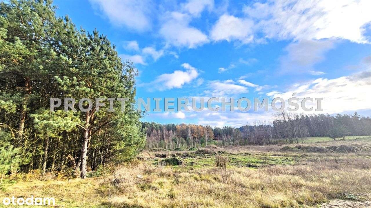 Działka niedaleko jeziora w otulinie lasu - Pełny obrazek: 5/8