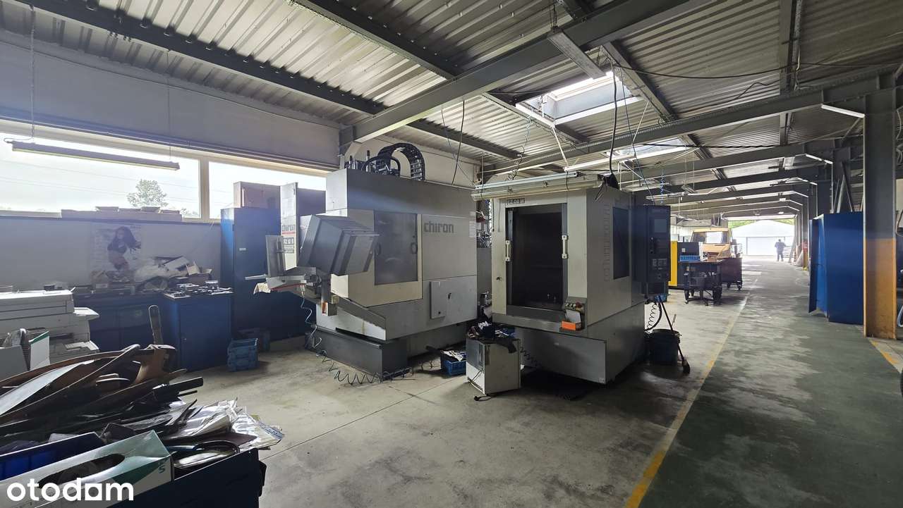 Do wynajęcia hala przemysłowo- magazynowa - Pełny obrazek: 3/6