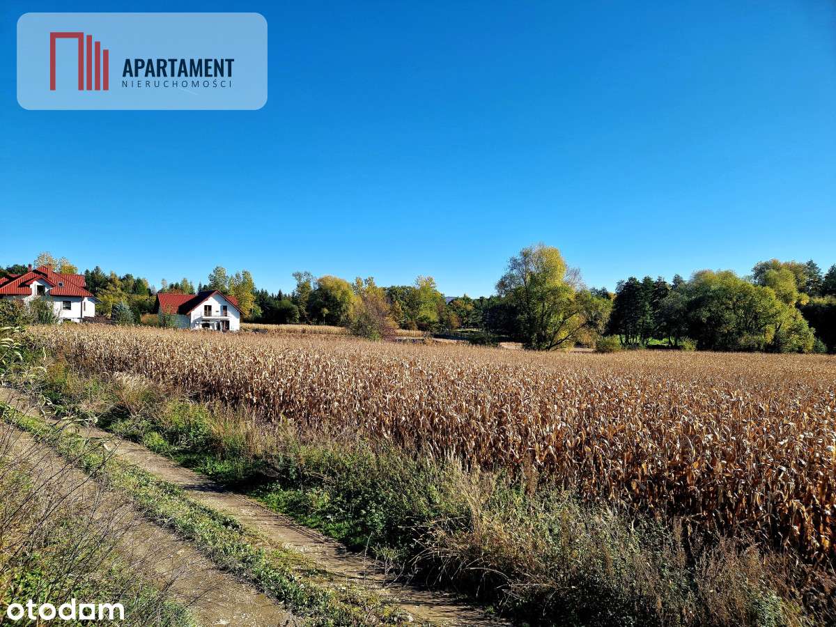 Działki budowlane Biay Kościół, gm. Strzelin - Pełny obrazek: 3/4
