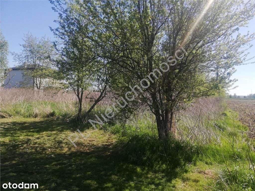 Atrakcyjna Działka W Pęcicach !!!-3