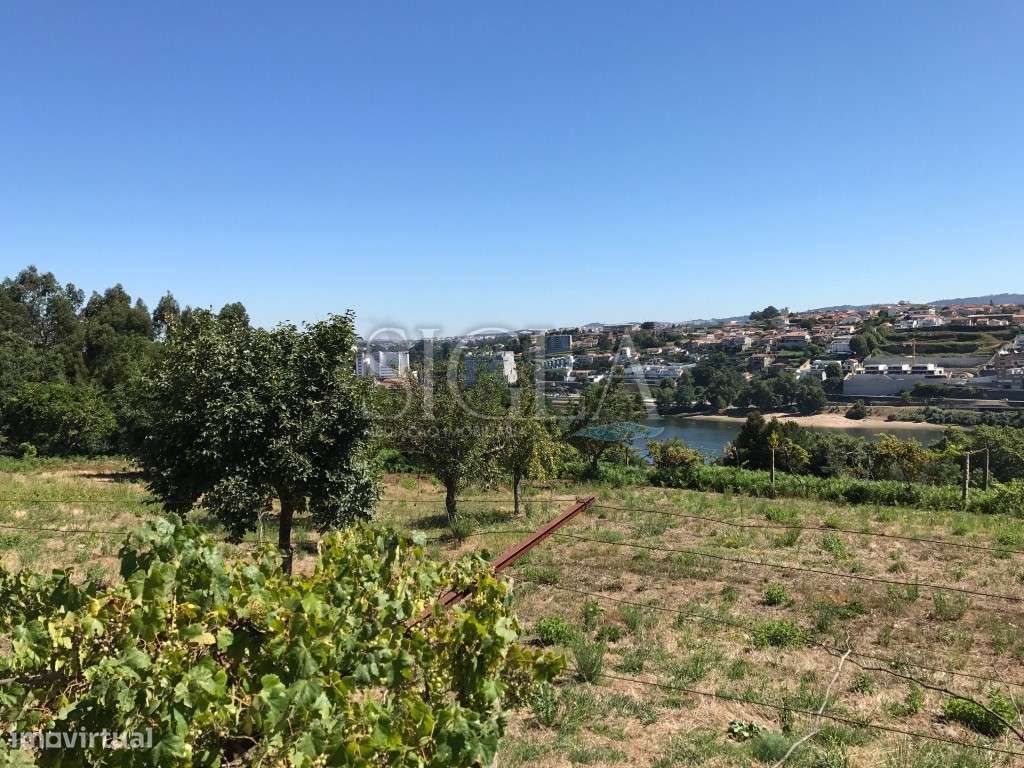 Terreno em Oliveira do Douro - Grande imagem: 2/5